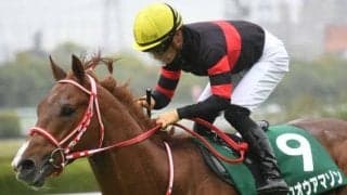 【阪神C展望】好メンバーが揃ったGII、中でもあの馬に期待したい