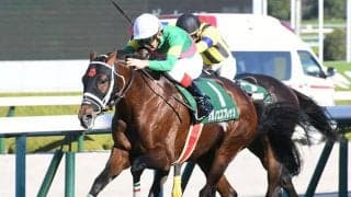 【中山大障害想定騎手】タガノエスプレッソは平沢健治騎手、オジュウチョウサンは石神深一騎手
