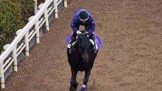 デゼルなど、先週の入厩情報/栗東トレセンニュース