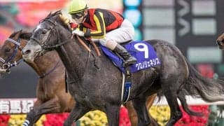 【有馬記念予想】今年のサイン馬券は『有終の美』『金』『大谷翔平』などが人気…netkeibaユーザーに聞いたアンケート中間発表！