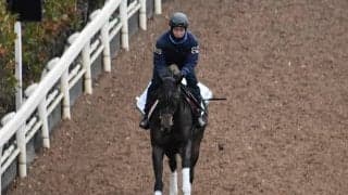 ラリベラなど、先週のゲート試験/栗東トレセンニュース