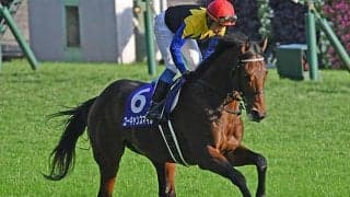 【有馬記念 注目馬(5)】長距離戦で磨いたスタミナ魅せる　唯一のキングカメハメハ産駒