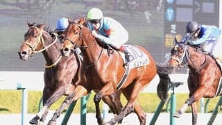 【新馬/阪神5R】C.デムーロ騎乗 良血パンドレアが人気に応える