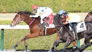 【新馬/阪神6R】ビッグアーサー産駒 クレアがデビューV