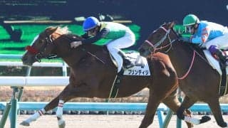 【新馬/中山5R】ドゥラメンテ産駒 ブリンディジがデビューV