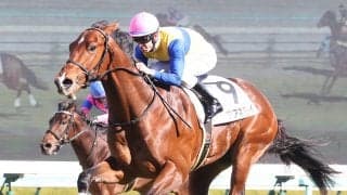 【新馬/阪神5R】C.デムーロ騎乗 エアアネモイが3馬身差完勝