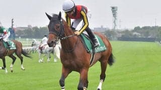 【阪神C予想オッズ】昨年の2歳マイル王グレナディアガーズが予想1番人気