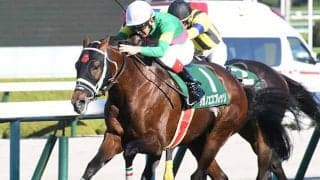 【中山大障害予想オッズ】タガノエスプレッソが予想1番人気