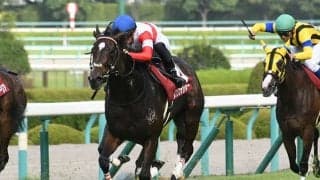 【阪神C「見逃せない調教師」ベスト3】阪神芝1400mで単勝ベタ買いプラスの調教師は？