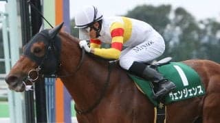 ヴェンジェンスが競走馬登録抹消