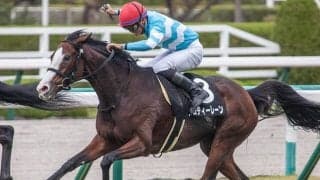 【有馬記念 注目馬(7)】小さな体に大きな野望　そのスタミナを侮るなかれ