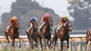 【有馬記念展望】暮れの大一番、好走条件に合うあの馬の激走を期待