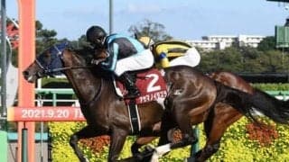 有馬記念に強い馬を血統から探す。浮かび上がったのは「父仔制覇」を狙う２頭