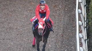 【有馬記念「見逃せない調教師」ベスト3】中山芝2500mで複勝回収率144％ 世界の○○○は中山でも強かった！