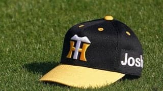 阪神、ファーム本拠地の尼崎市移転が正式決定　同市市議会で議決得る