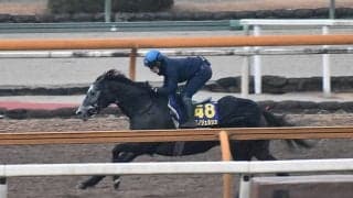 クロノジェネシス、有馬記念最終追い切り速報/栗東トレセンニュース