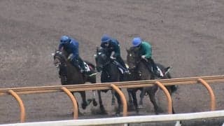 ジャスティンパレス、ホープフルS追い切り速報/栗東トレセンニュース