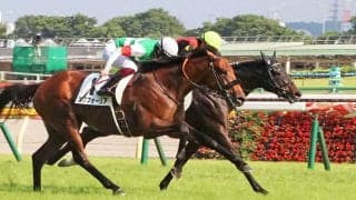 【有馬記念／危険な人気馬－前編】人気の一角は“消し”　世代交代を占う今年最後のGPで「買うべきではない」1頭とは