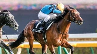 「偉大な者」オニャンコポンの快進撃が止まらない！ エイシンフラッシュ産駒初のJRA重賞制覇へ
