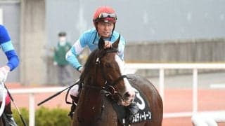 メロディーレーン有馬記念出走までの軌跡　岡田牧雄氏が語る「競走馬になれない」可能性もあった牧場時代