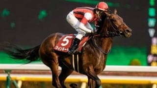 【有馬記念 注目馬(10)】今年は“ゴールド”シップ産駒が激走のサイン!?　暮れの舞台で巻き返しを図る1頭