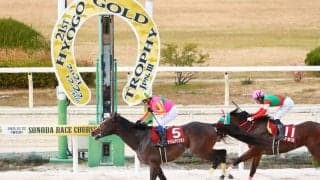 【兵庫ゴールドトロフィー】テイエムサウスダンが交流重賞4勝目