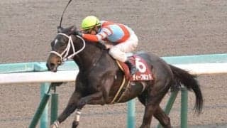 有馬記念の激走候補２頭。穴党記者が今の中山の馬場に「ぴったり」と激推し