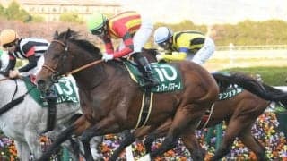 【JRA】フィアーノロマーノが引退、甲賀ファームで乗馬に