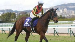 【阪神C出走馬・騎手確定】グレナディアガーズ＆C.デムーロ騎手、ソングライン＆池添謙一騎手など18頭