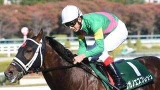 【中山大障害出走馬・騎手確定】タガノエスプレッソ＆平沢健治騎手、オジュウチョウサン＆石神深一騎手など14頭