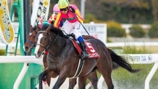 【兵庫ゴールドトロフィー回顧】計算しつくしたように差し切ったテイエムサウスダン/斎藤修