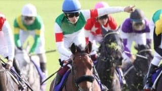 【有馬記念】出走馬の調教後の馬体重