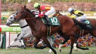 フィアーノロマーノが競走馬登録抹消