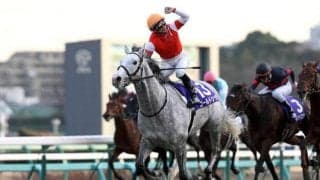 【有馬記念予想】オリンピックイヤーは菊花賞馬が強い!? データdeア・ラ・カルト