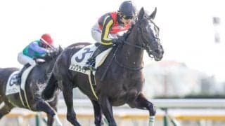 【阪神C枠順確定】グレナディアガーズは6枠12番、ソングラインは8枠17番