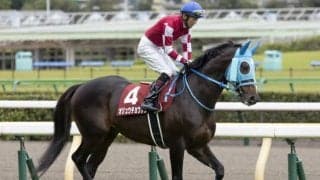 【中山大障害枠順確定】タガノエスプレッソは3枠4番、オジュウチョウサンは3枠3番