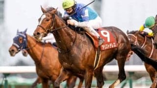 【有馬記念予想】このまま好天なら後方勢は挽回不可能の恐れも…