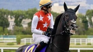 【有馬記念 注目馬(15)】クラシックで3、3、4着…勢いに乗る鞍上を背に今度こそ王座へ