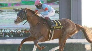 【名古屋グランプリ回顧】長距離で素質開花ヴェルテックス/斎藤修