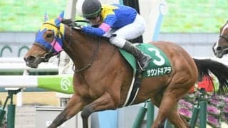 【阪神C予想】今年も牝馬で大丈夫!? 3連勝中も好走確率が低下する条件とは