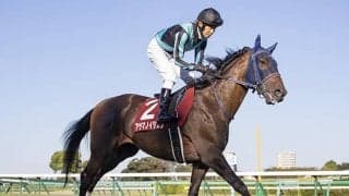 【有馬記念予想】 みんなが選んだ“夢”を発表！ 1万人超の競馬ファンが注目する“隠れた実力馬”とは!?