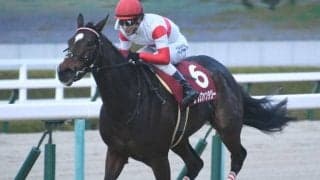 【阪神C前日オッズ】ダノンファンタジーが3.3倍で1番人気