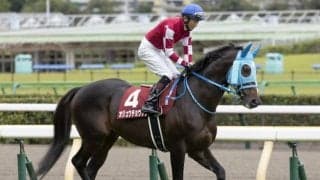 【中山大障害前日オッズ】オジュウチョウサンが2.4倍で1番人気