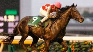 【有馬記念前々日オッズ】ステラヴェローチェが2.4倍で1番人気