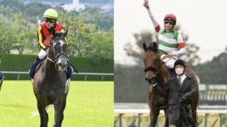 【有馬記念予想】今年のGIは1番人気が低調!? 昨年と比べて勝率は半分以下