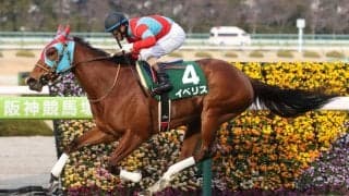 イベリスが競走馬登録抹消
