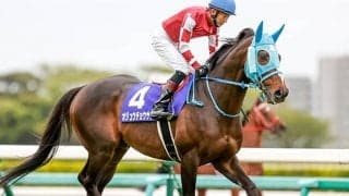 【本日の注目ポイント】障害の大一番・中山大障害、好メンバーの阪神Cにも注目