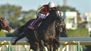 【阪神C予想】屈指の「リピーター」レース　昨年の覇者に死角はあるか？