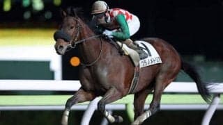 【大井・金盃トライアル結果】矢野貴之騎手騎乗の3番人気ウラノメトリア転入初戦を快勝