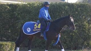 【有馬記念】絶好の1枠1番！ペルシアンナイト陣営「好状態をキープ」/ねぇさんのトレセン密着